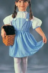 The Wizard Of Oz Dorothy Toddler Costume
