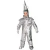 The Wizard Of Oz Premium Tinman Child Costume