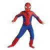 The Spectacular Spider-Man Animated Series Child Costume -Monster Costumes Sales Shop 32934