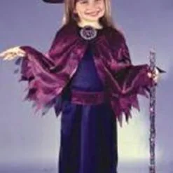 Metallic Spider Witch Toddler Costume