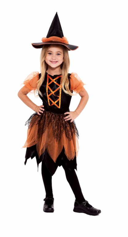 Pumpkin Patch Witch Child Costume Small 3 Pumpkin Patch Witch Child Costume Small