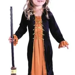 Renaissance Witch Toddler Costume