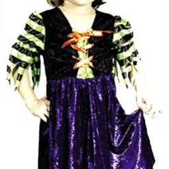 Fairy Tale Witch Toddler Costume