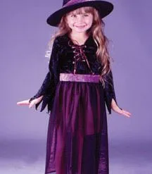 Storybook Witch Velvet Toddler Costume