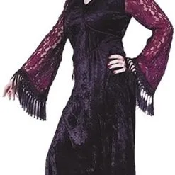 Gothic Lace Vampire Teen Costume