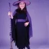 Shimmering Witch Child Costume -Monster Costumes Sales Shop FW8791