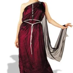 Bride Of The Vampire Costume