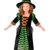 Miss Witch Toddler Costume 1 Miss Witch Toddler Costume -Monster Costumes Sales Shop fw110681fix