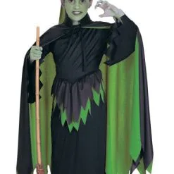 Wicked Witch Costume