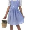 Tween Dorothy Costume -Monster Costumes Sales Shop teen dorothy